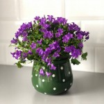 Keramični lonec Deco 02.699.15